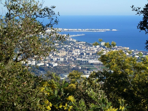 Vue sur la baie de Cannes depuis le Tanneron avec le mimosa