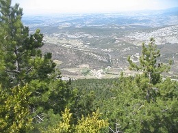 La plaine Vauclusienne depuis le Ventoux